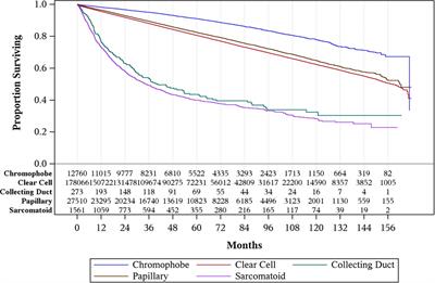 Patient Characteristics and Survival Outcomes of Non-Metastatic, Non-Clear Cell Renal Cell Carcinoma